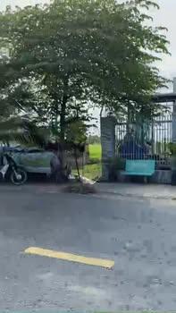 Đất nền Trường Xuân, Tháp Mười 150m² giá 3 tỷ - Tiềm năng kinh doanh vượt trội!