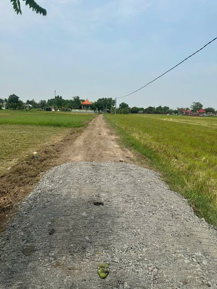 Đất thổ cư Hiệp Hòa 390m² giá 1.25 tỷ - Nhanh tay sở hữu!