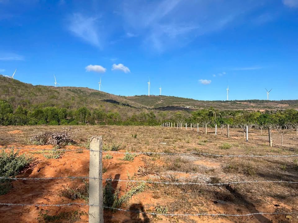 Đất nền 1.000m² tại Mũi Né, Phan Thiết - Giá chỉ 1 tỷ - View núi tuyệt đẹp!