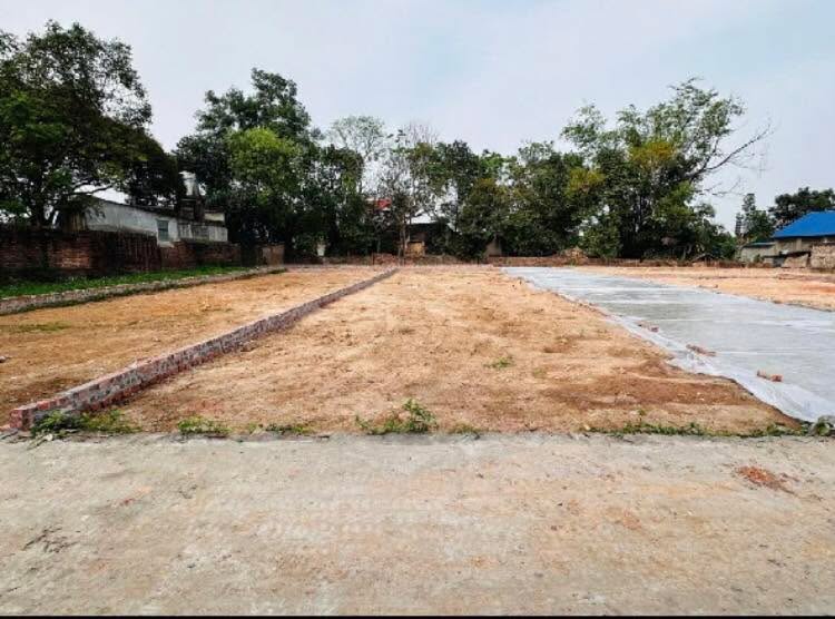 Đất phân lô chính chủ tại Đình Thông, Sóc Sơn, Hà Nội 102m² giá 1.5 tỷ - Cơ hội đầu tư hấp dẫn!