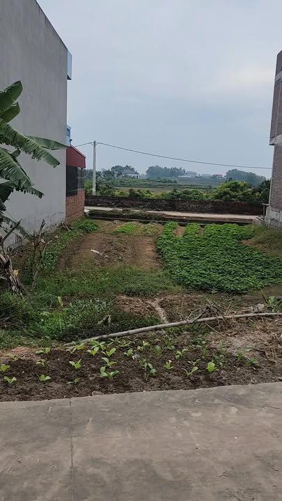 Đất thổ cư Hợp Đức, Tân Yên 126m² giá thỏa thuận - Bán gấp trong đêm!