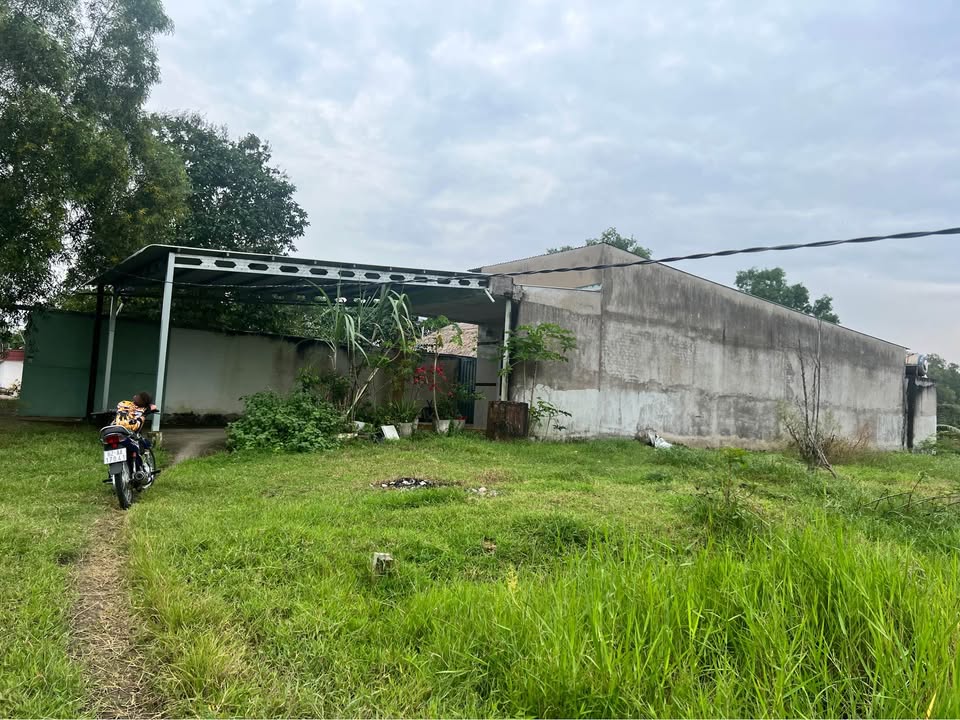 Đất nền xã Đức Hòa Thượng 450m² giá 1.4 tỷ - Sổ đỏ chính chủ, vị trí đắc địa!