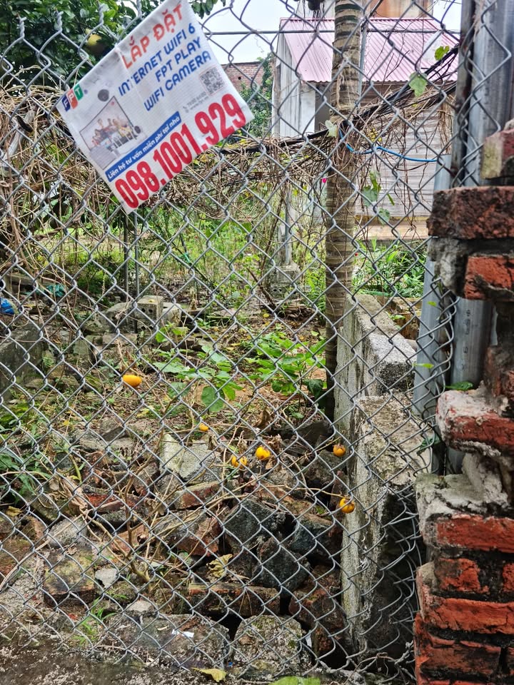 Đất nền thôn Trần Đăng, 178m², giá tốt - Đầu tư sinh lời ngay!