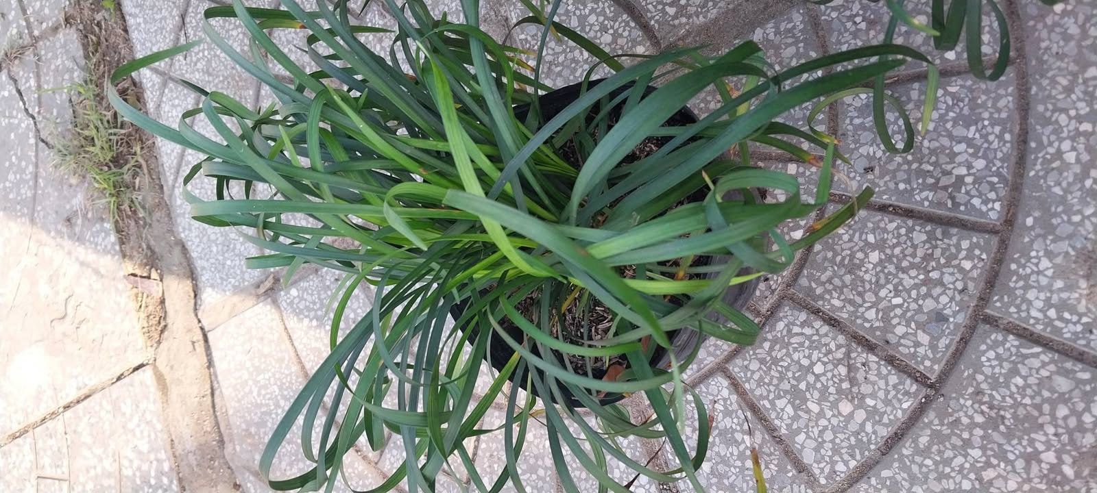 Đất thổ cư Thới An Đông 166m² - Cơ hội đầu tư tuyệt vời!