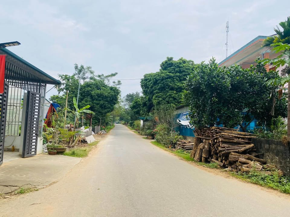 Đất phân lô tổ 17 An Tường 148.99m² giá 1.1 tỷ - Cơ hội đầu tư sinh lời!