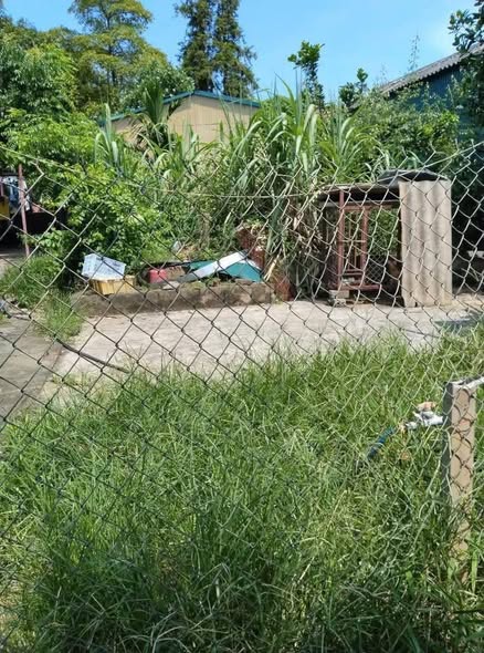 Lô đất thổ cư Sơn Hải 232m² giá 650 triệu - Ô tô vào tận cửa!