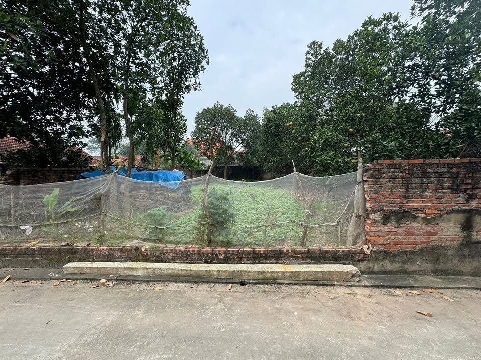 Đất nền Vân Nam, Phúc Thọ 76.3m² giá chỉ 2 tỷ - Đường ô tô, tiện ích đầy đủ!