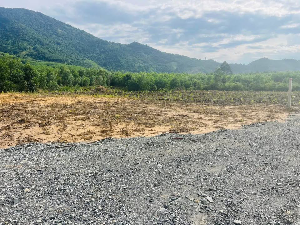 Đất nền Khánh Đông, Khánh Vĩnh 84m² giá chỉ 99 triệu - Đường ô tô vào tận nơi!