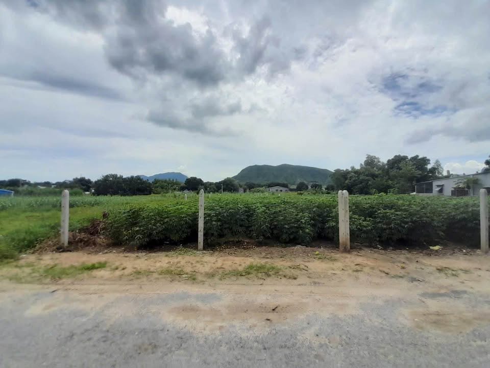 Đất Cam An Bắc Cam Lâm 377m² giá 1.1 tỷ - Đầu tư bền vững