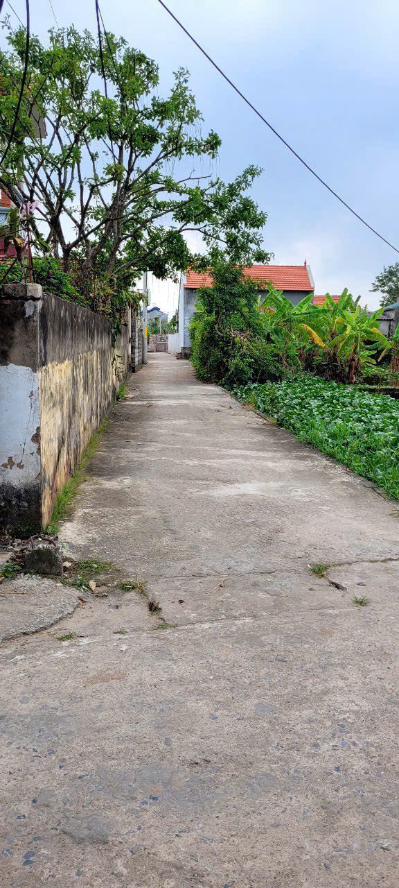 Đất thổ cư Chương Dương Thường Tín 42m² giá 1.55 tỷ - Ô tô vào tận nơi!