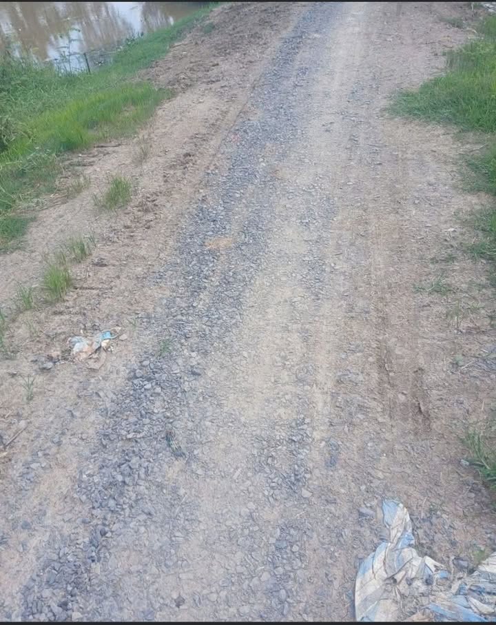 Đất thổ cư 36 công lớn tại xã Phương Thịnh, giá chỉ 7.2 tỷ - Tiềm năng đầu tư cao!