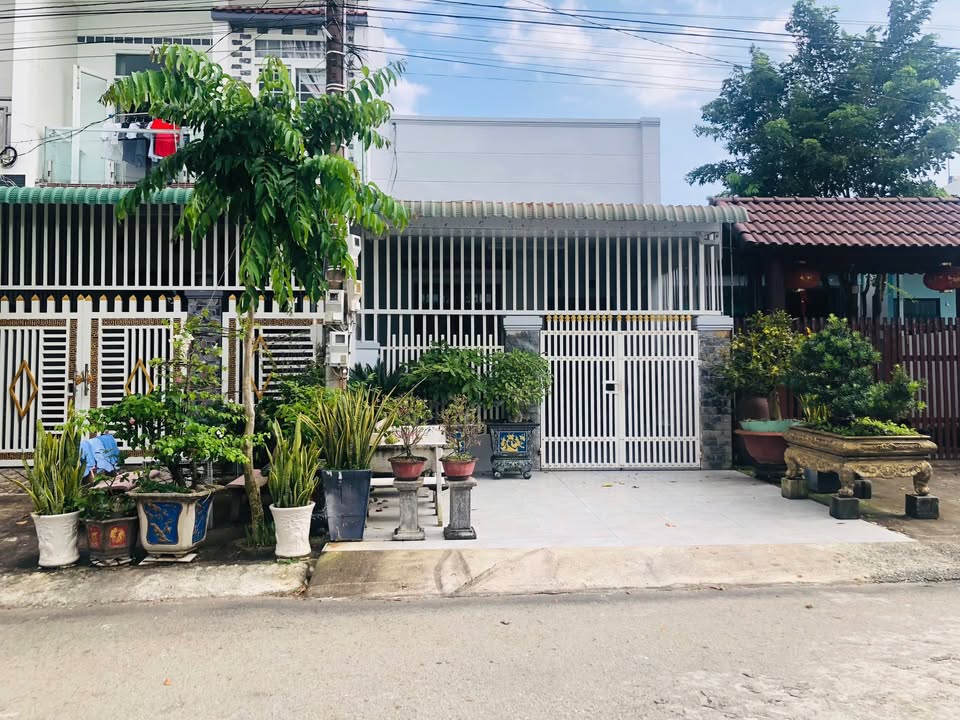 Đất nền khu dân cư Nguyễn Thái Học, Tân An, La Gi 100m² - Giá chỉ 2.25 tỷ!