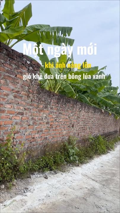 Lô đất Tân Minh, Sóc Sơn 80m² - Giá cực tốt, cơ hội đầu tư không thể bỏ lỡ!