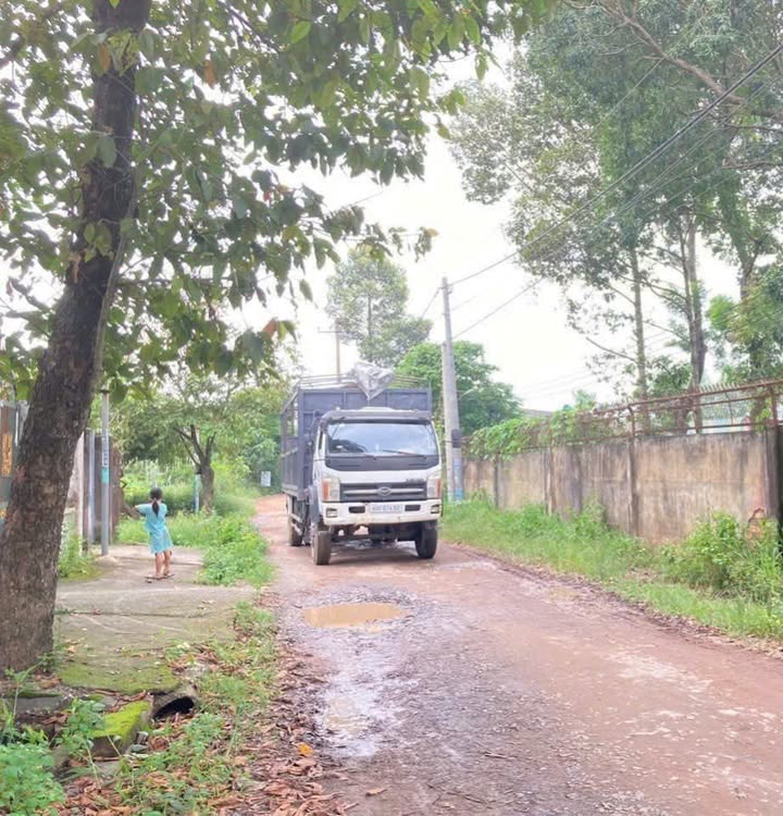 Đất nền Trảng Bom 12.000m² giá 2.4 tỷ - Cơ hội đầu tư sinh lời lớn!