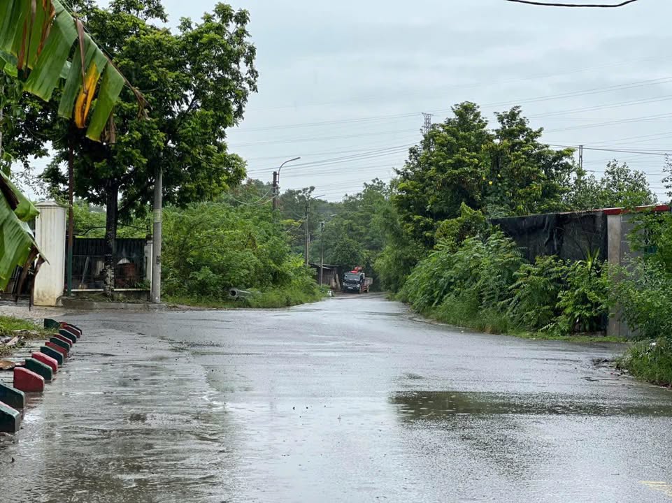 Đất nền 125m² xã Thanh Mỹ, Sơn Tây - Giá chỉ 3 tỷ, vị trí đẹp!