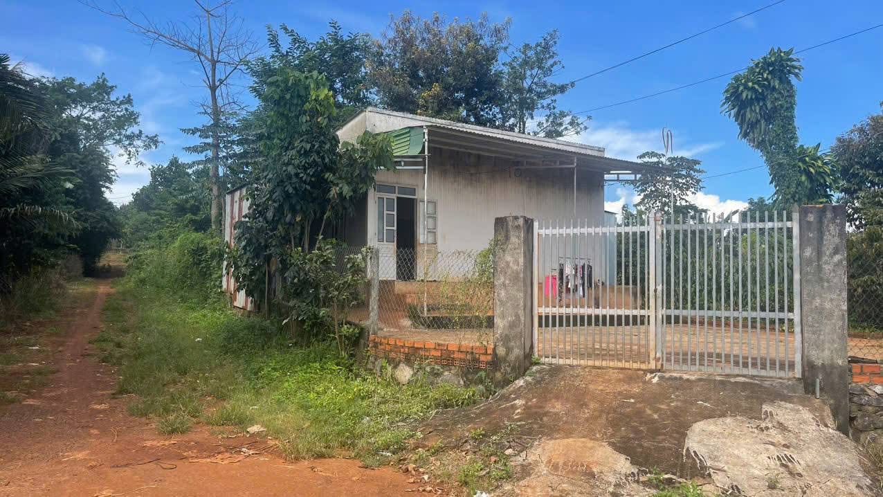 Đất thổ cư Thôn 3, xã Ea Kpam 1500m² giá 1.9 tỷ - Đầu tư sinh lời ngay!