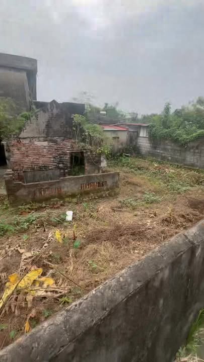 Đất thổ cư 386m² tại xã Xuân Tân, giá chỉ 1.544 tỷ - Cơ hội đầu tư tuyệt vời!