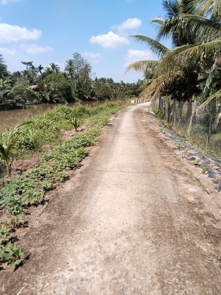 Nhà vườn nghỉ dưỡng 1.700m² tại Vũng Liêm giá 1.5 tỷ - Không khí trong lành!