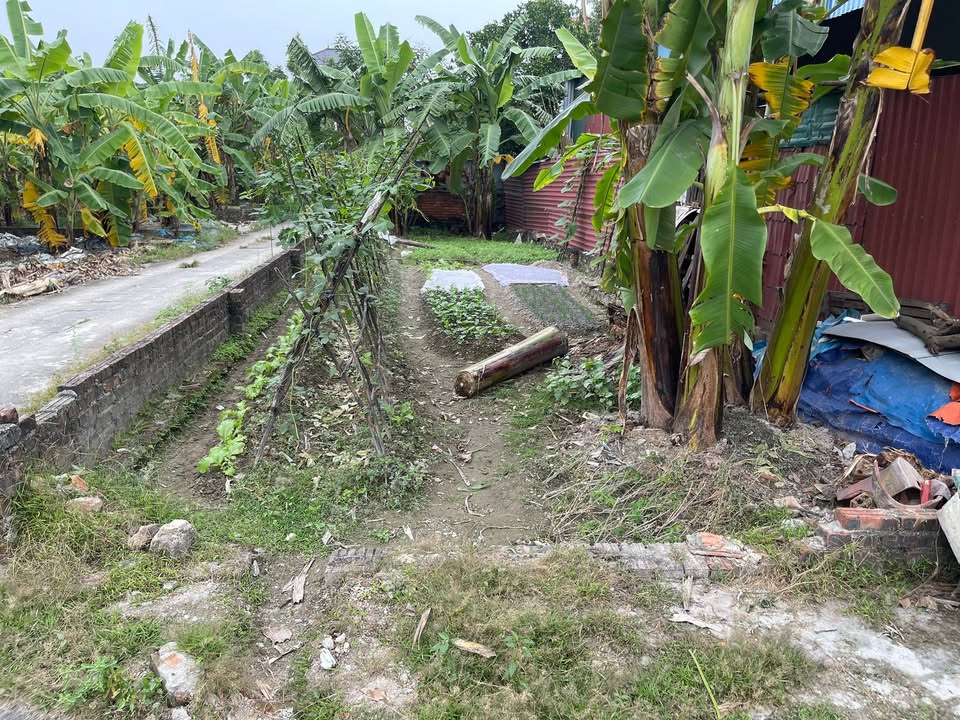 Đất nền Tiên Dược Sóc Sơn 85m² - Cơ hội đầu tư sinh lời ngay!