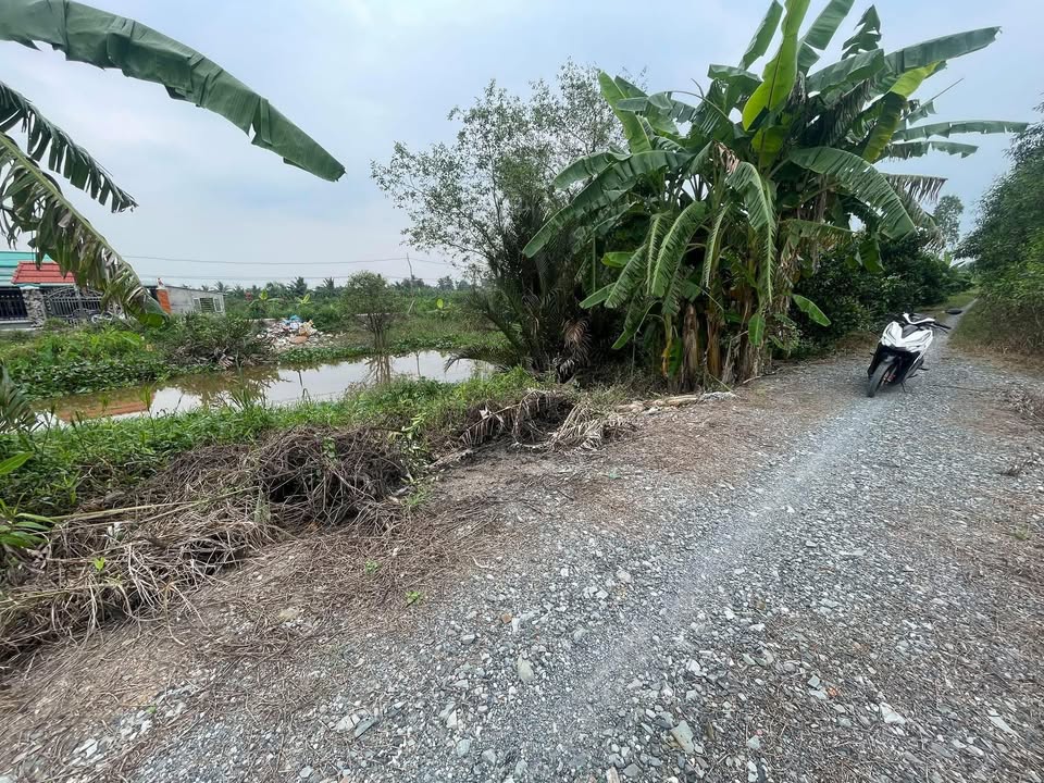 Đất vườn Tân Thành Thủ Thừa 2075m² giá chỉ 1.35 tỷ - Cơ hội đầu tư hấp dẫn!