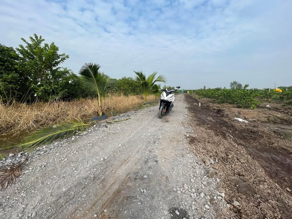 Đất vườn Tân Thành Thủ Thừa 1000m² giá 575 triệu - Cơ hội đầu tư hấp dẫn!