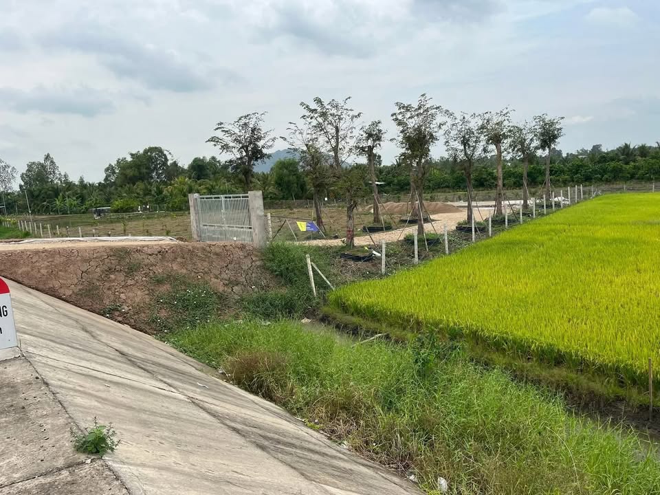 Đất thổ cư mặt tiền N1 Châu Đốc 7300m² giá chỉ 1.15 tỷ - Cơ hội đầu tư tuyệt vời!