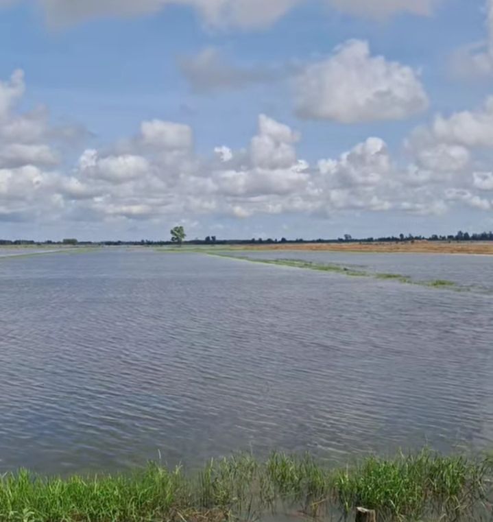 Đất nông nghiệp Phú Mỹ, Giang Thành 48.000m² - Giá đầu tư hấp dẫn 2.496 tỷ!