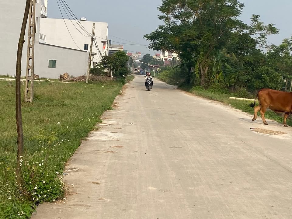 Đất nền Thúc Kháng Bình Giang 100m² giá 1.6 tỷ - Cơ hội đầu tư hấp dẫn!