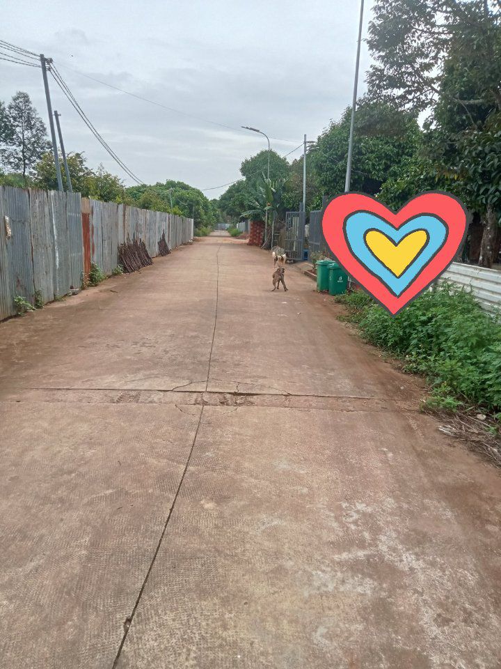 Đất nền Ấp 1, phường Bình Lộc, 280m² giá 1.2 tỷ - Đầu tư sinh lời ngay!