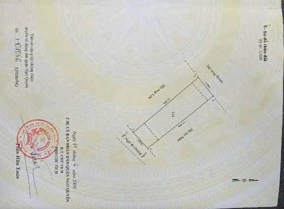 Nhà 3,5 tầng Nam Pháp 1, Hải Phòng 65m² giá 3.79 tỷ - Đầu tư sinh lời ngay!