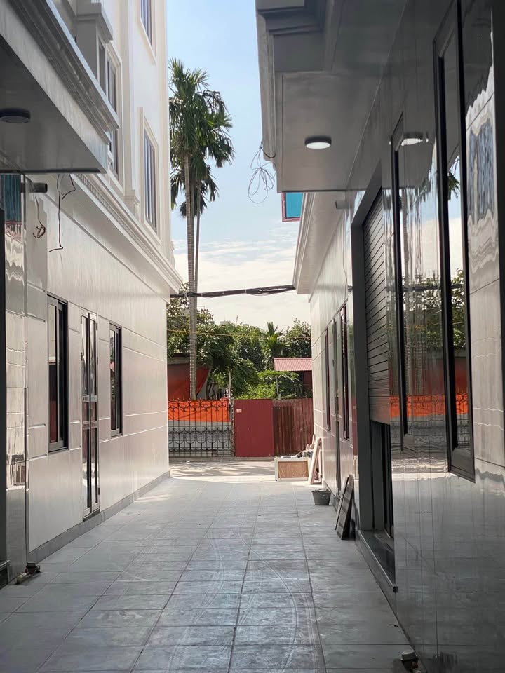 Nhà phố Hàng Tổng Hải Phòng 40m² giá 3 tỷ - Đường ô tô, chính chủ bán gấp!