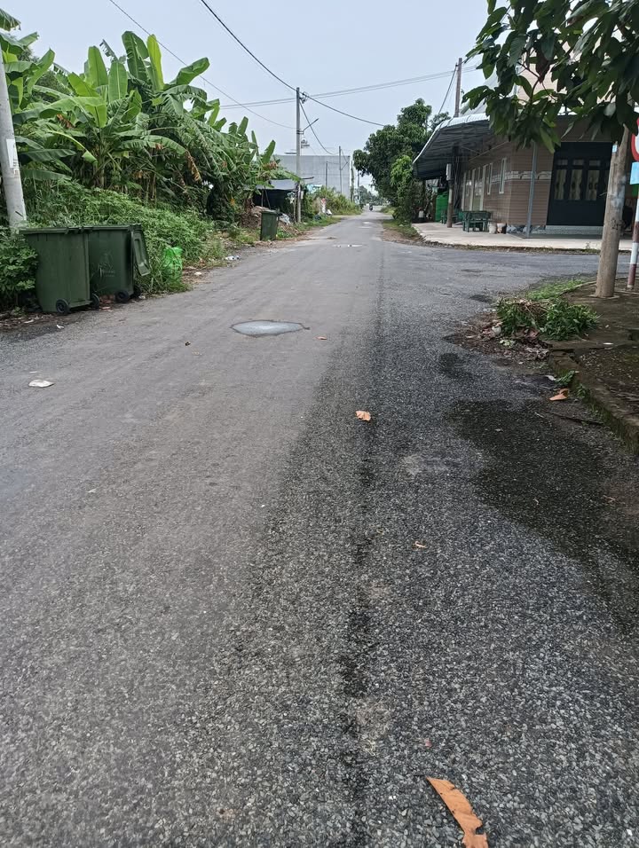 Đất nền Tân Tây, Thạnh Hóa, Long An 80m² giá chỉ 700 triệu - Cơ hội đầu tư tuyệt vời!