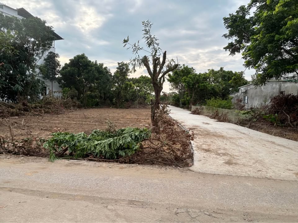 Đất nền khu 5 Hải Yên 200m² giá 3 tỷ - Đường thông thoáng ô tô tránh nhau!