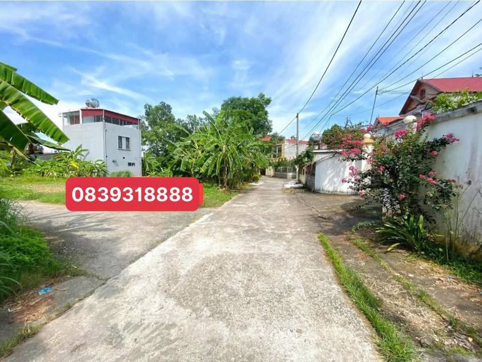 Đất nền khu phố 3 Hương Nộn, Tam Nông 130m² giá 900 triệu - Cơ hội đầu tư hấp dẫn!