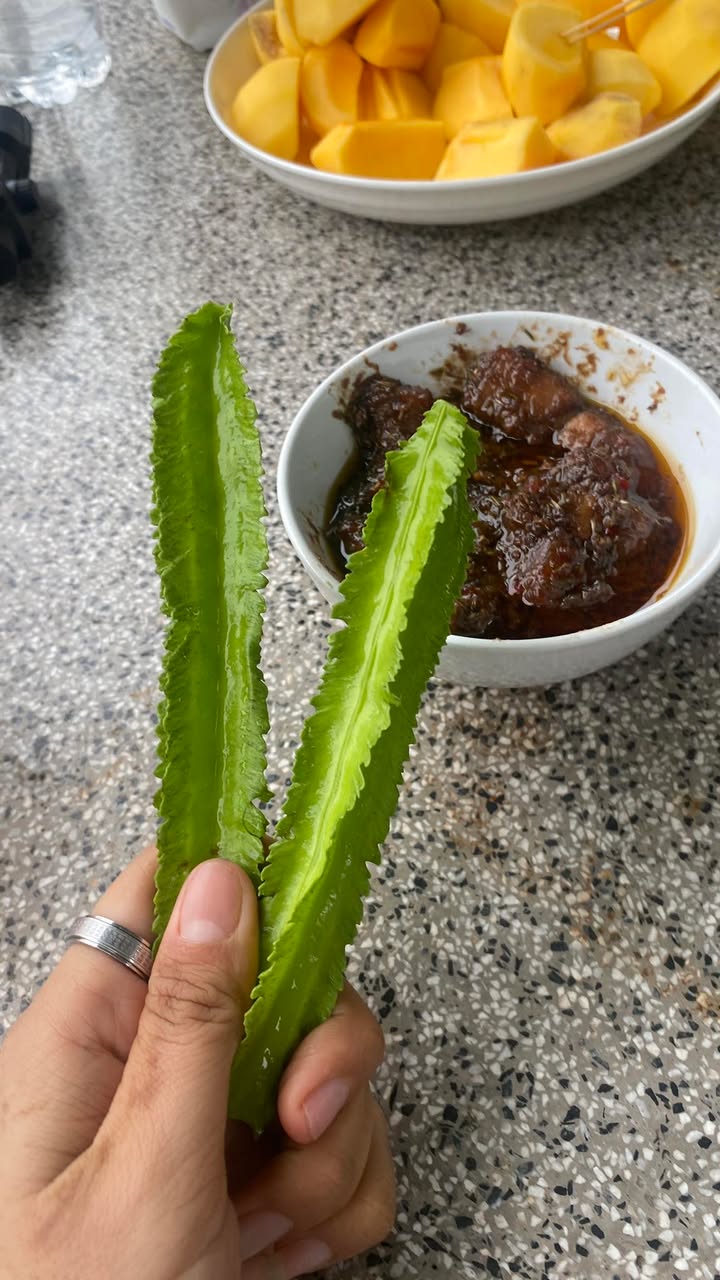 Đất nền Hưng Thịnh Trảng Bom 3600m² giá 499 triệu - Cơ hội đầu tư tuyệt vời!