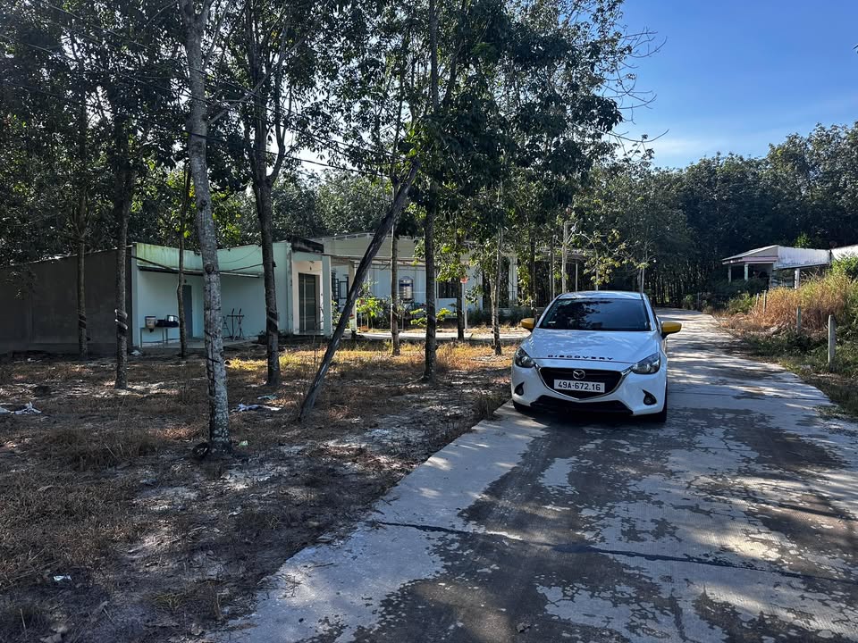 Bán đất tặng nhà 2 phòng ngủ tại Minh Hưng, Bình Phước 1030m² chỉ 800 triệu - Cơ hội vàng cho đầu tư!