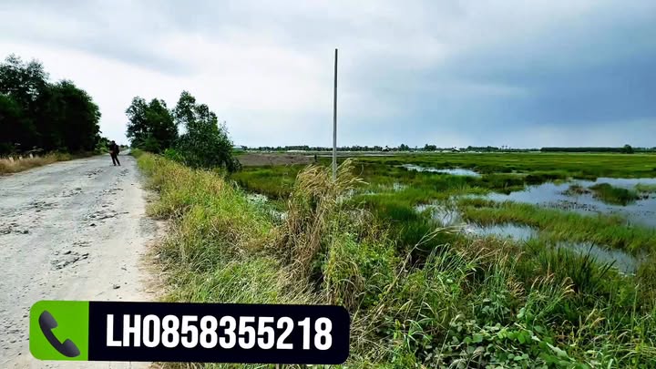 Đất nền Thuận Bình, Thạnh Hóa 36,000m² giá 712 triệu - Cơ hội đầu tư lý tưởng!