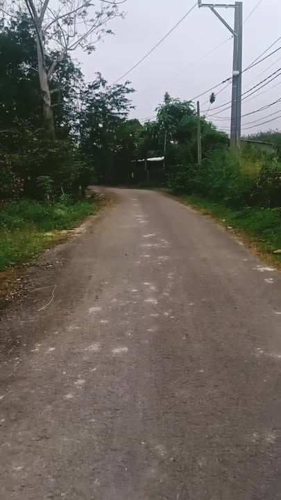 Đất nền Chơn Thành 1000m² giá 1.1 tỷ - Đầu tư sinh lời ngay!