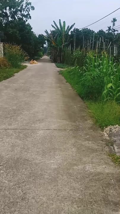 Đất nền khu phố 9, phường Hưng Long, Chơn Thành 225m² - Giá chỉ 800 triệu