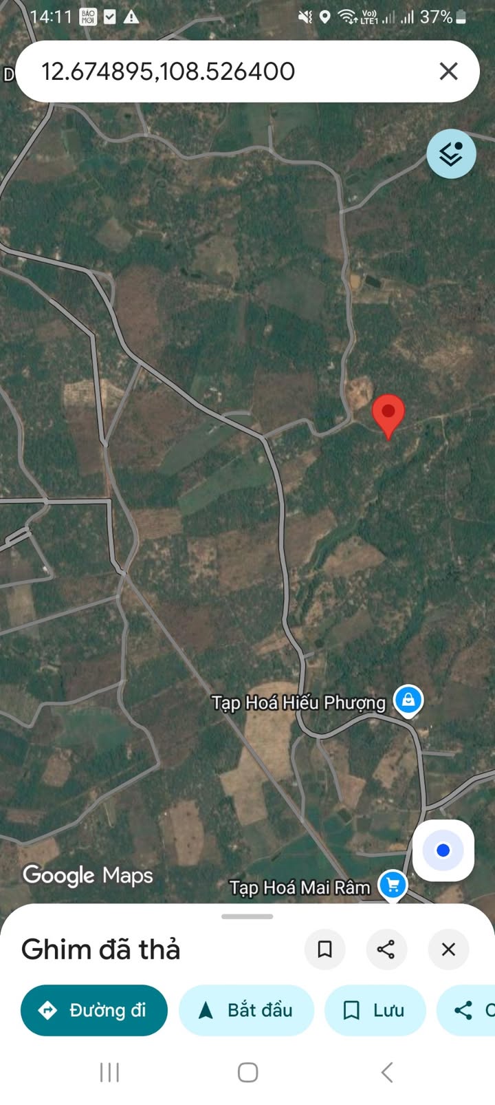 Farm 2,6 hecta tại thôn 6A, xã Ea O giá chỉ 2,8 tỷ - Đầu tư sinh lời ngay!