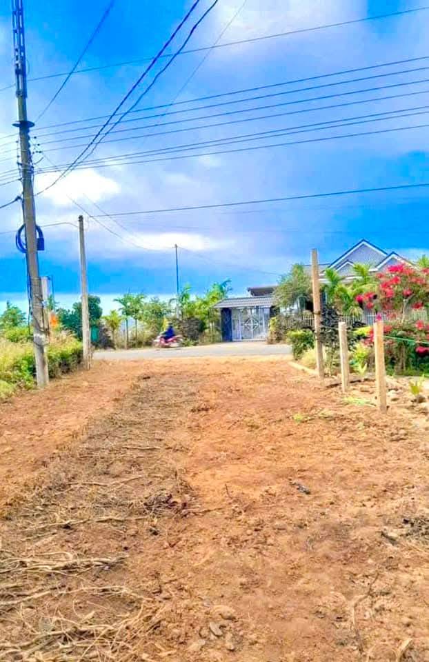 Đất nền xã Ea Sar, huyện Ea Kar 560m² giá 700 triệu - Sổ hồng chính chủ!