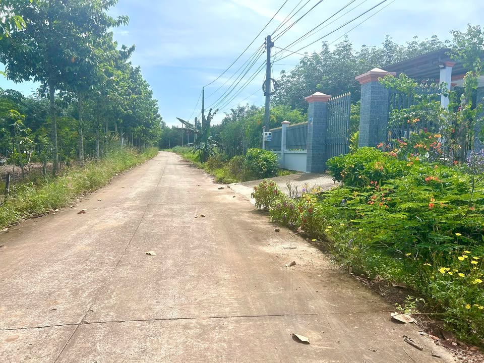 Đất nền An Linh Phú Giáo 225m² giá 550 triệu - Vị trí đắc địa, dân cư đông đúc!