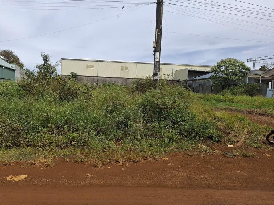 Lô đất thôn 14, xã Đắk Wer 1250m² giá 4 tỷ - Đầu tư sinh lời tốt!