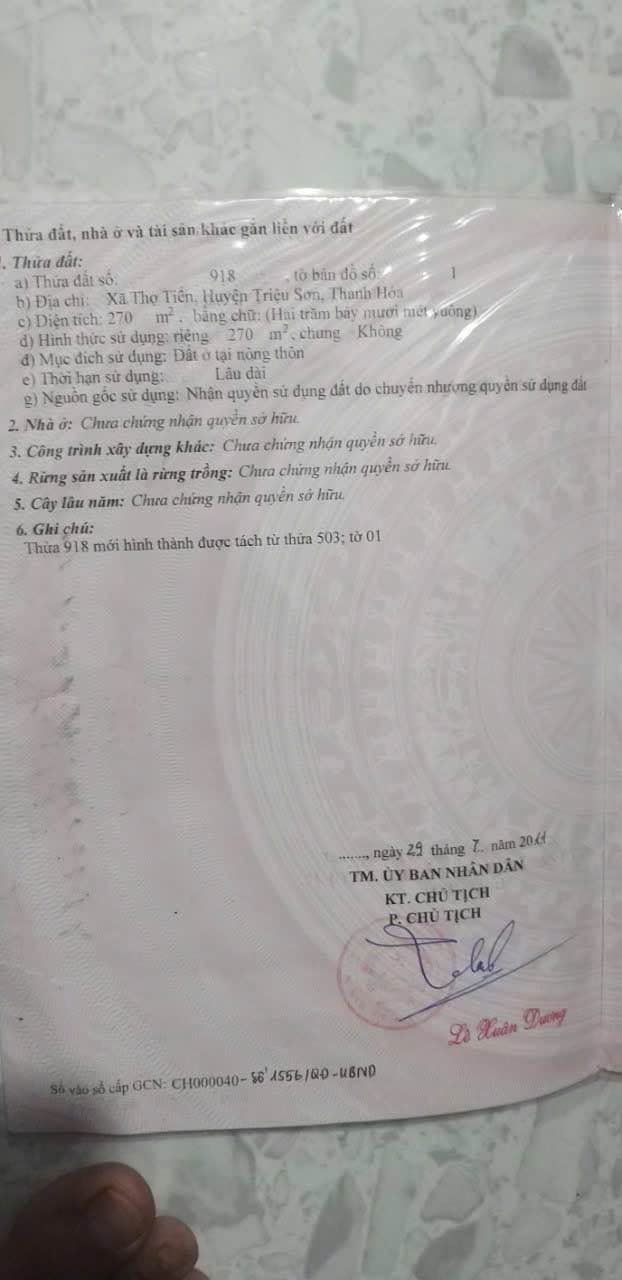 Đất nền Thọ Tiến, Triệu Sơn 250m² giá chỉ 1.1 tỷ - Cơ hội đầu tư tuyệt vời!