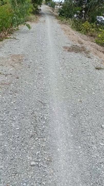 Đất nông nghiệp 4 mẫu tại Tân Long, Thủ Thừa, Long An - Giá chỉ 6.3 tỷ