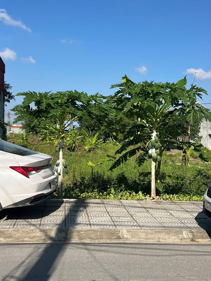 Đất nền Trác Văn, Duy Tiên, Hà Nam 110m² - Sổ đỏ chính chủ, giá tốt thỏa thuận!