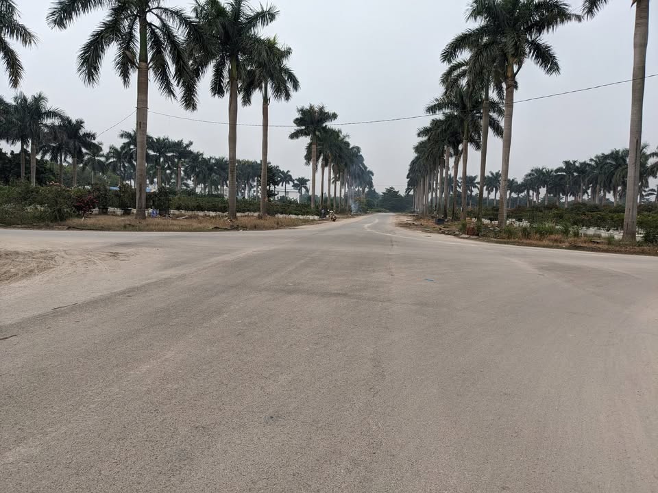 Đất biệt thự Hoàng Vân Mê Linh 270m² - Cơ hội đầu tư hiếm có!