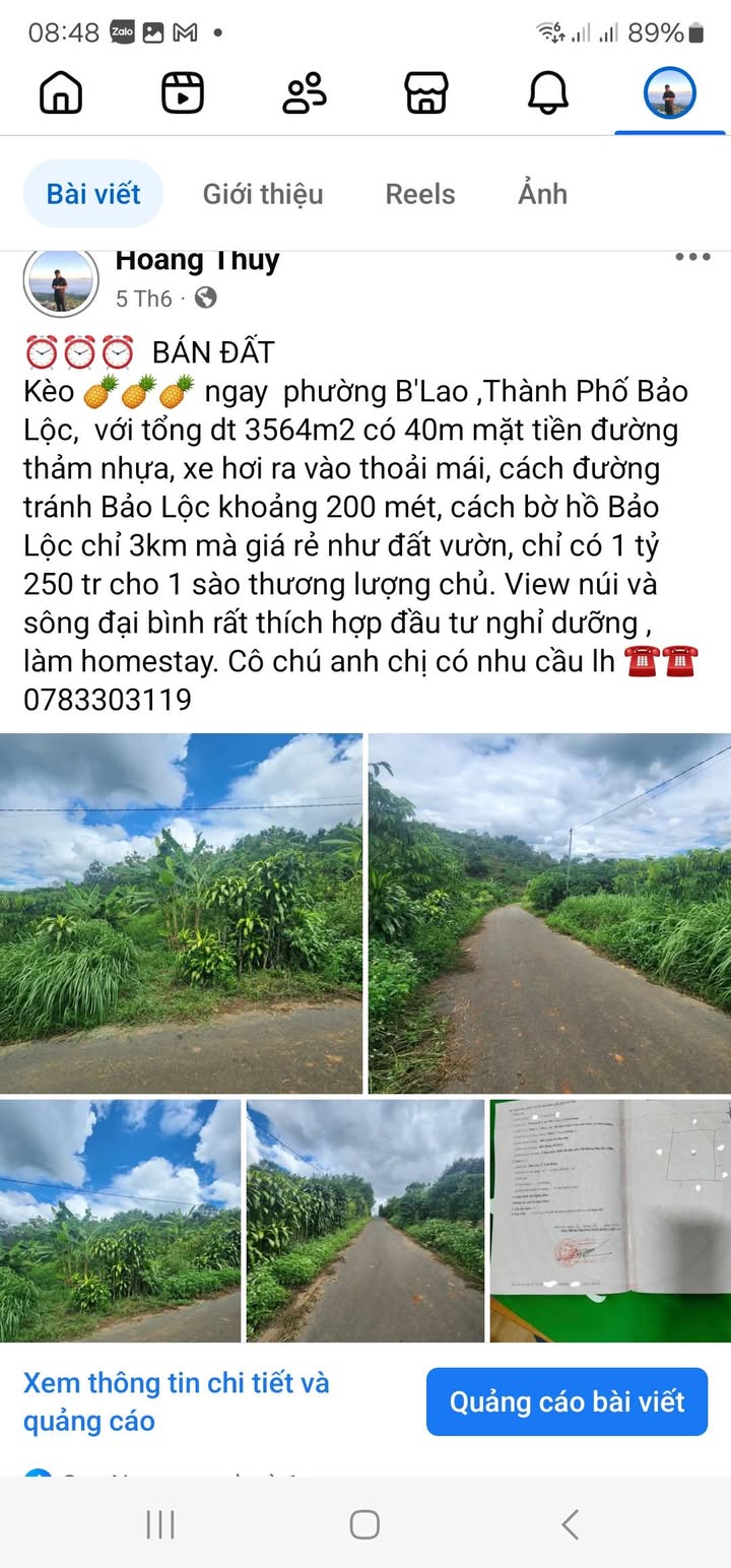 Đất nền B'Lao, Bảo Lộc 3564m² giá chỉ 1.1 tỷ - Đầu tư nghỉ dưỡng tuyệt vời!