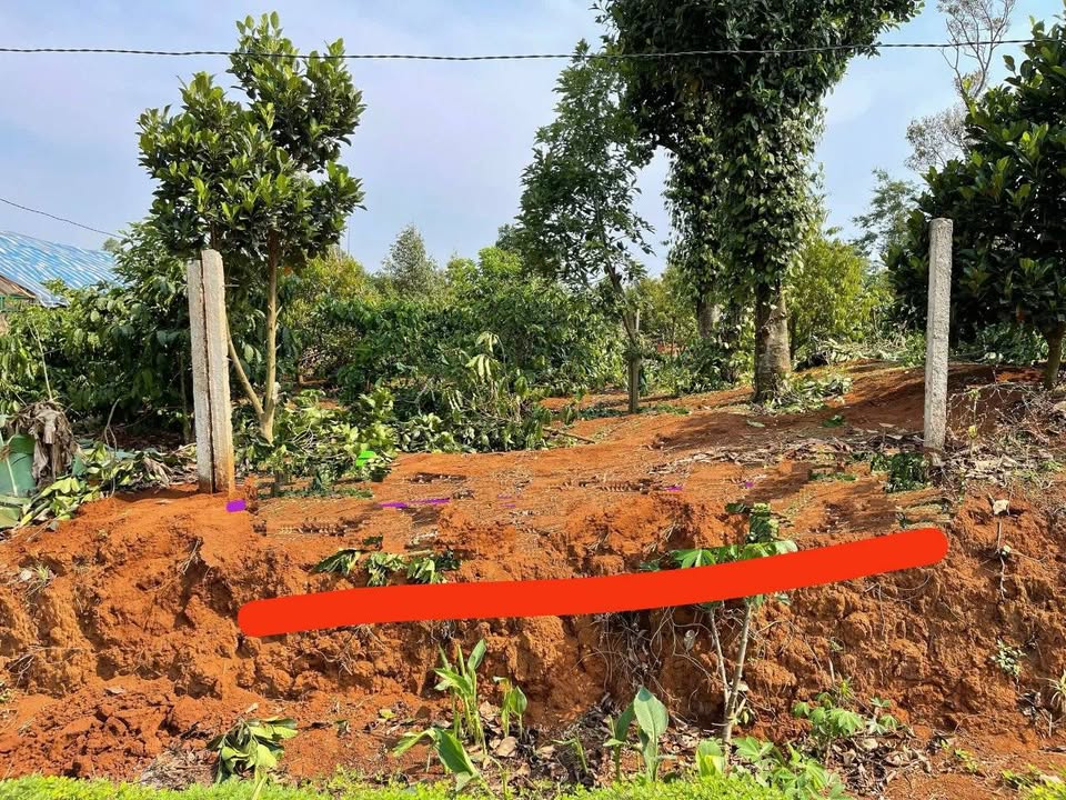 Đất thổ cư Vi Thủ An 250m² giá 668 triệu - Cơ hội đầu tư sinh lời