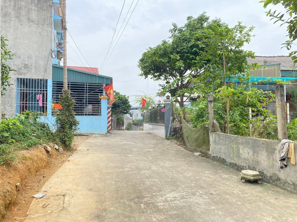 Đất nền Hạ Hòa, Phú Thọ 251.2m² giá 1 tỷ - Vị trí dân cư sầm uất!